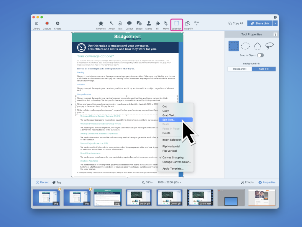Text editing with Snagit