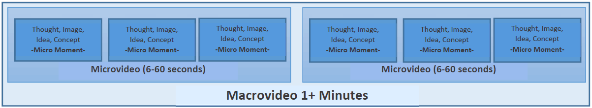 microvideo figure