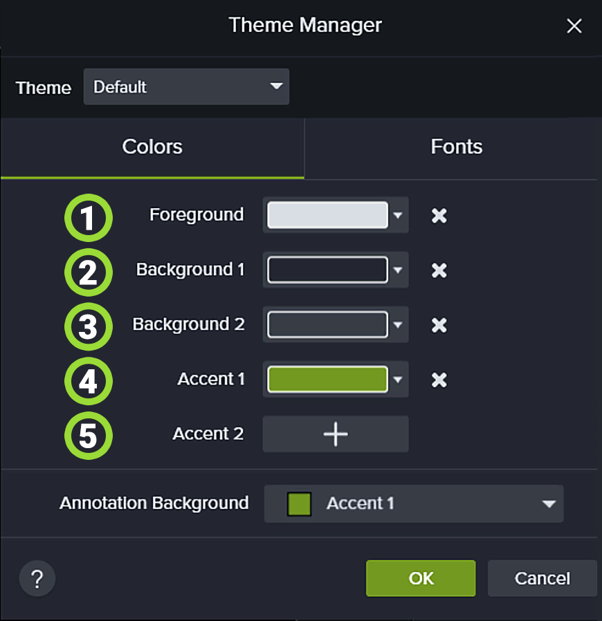 Camtasia screen shot of Theme Manager feature