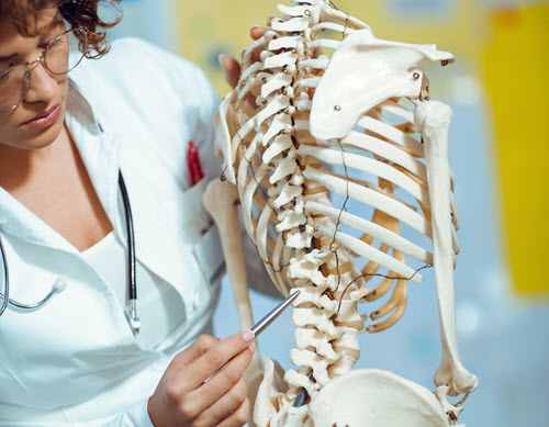 Health sciences instructor explaining a medical skeletal model in a video lesson