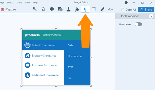 Screenshot showing the Move Tool in Snagit.
