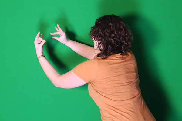 lighting-green-screen