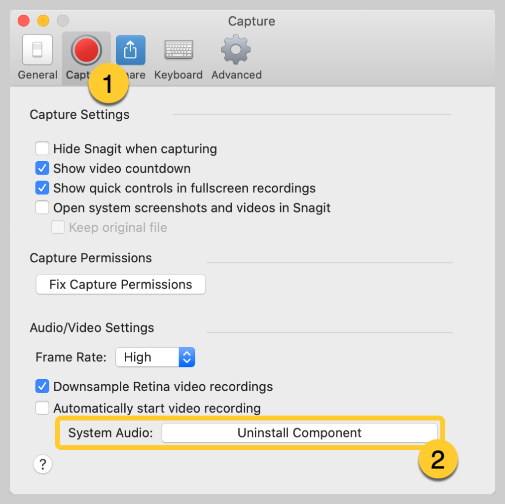 record mac system audio snagit settings