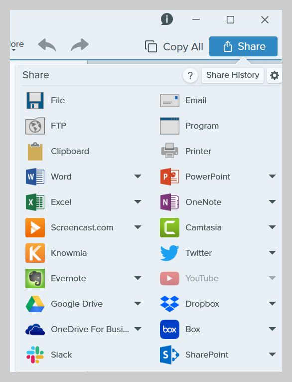 Sharing options available in Snagit