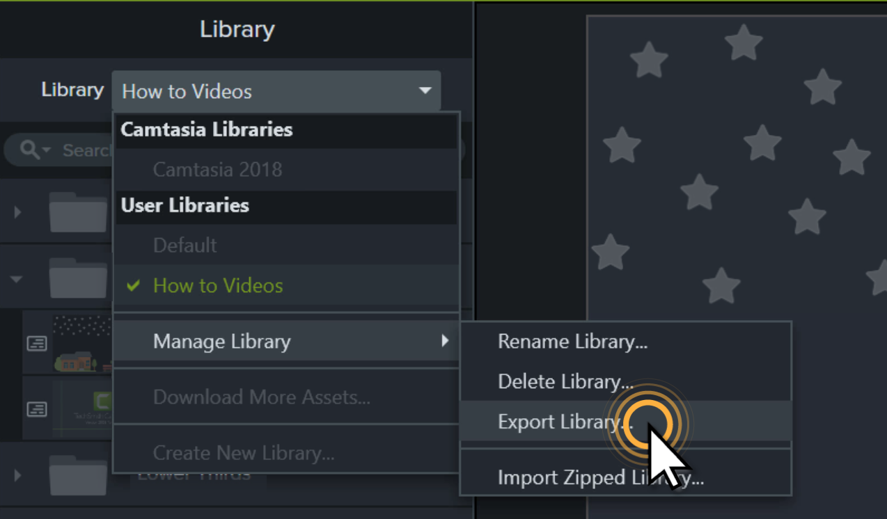 Export library button