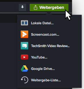 Screenshot Camtasia Editor.