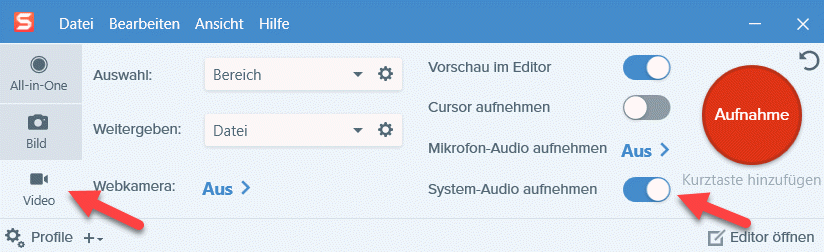 Snagit Capture window with video capture settings.