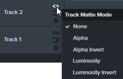 Track matte options