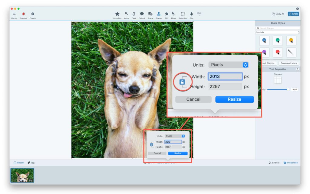 A screen capture of an image being resized in TechSmith Snagit. The lock symbol that shows an image's aspect ratio is locked is highlighted.
