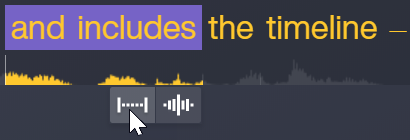 Silence Audio button below transcription