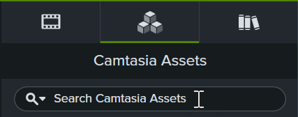 Search field on Camtasia Assets subtab