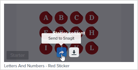 Botón Enviar a Snagit en el sitio de Assets