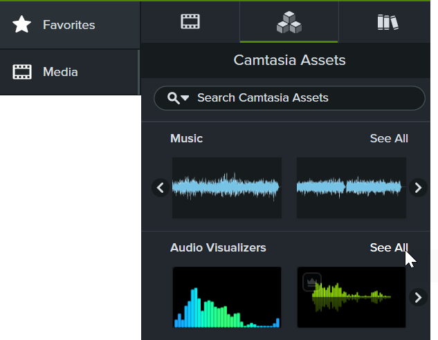 Categoria Visualizadores de áudio na subguia Ativos do Camtasia