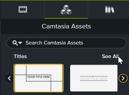 See All option for Titles asset category