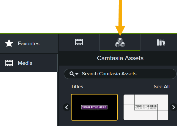 Camtasia Assets subtab