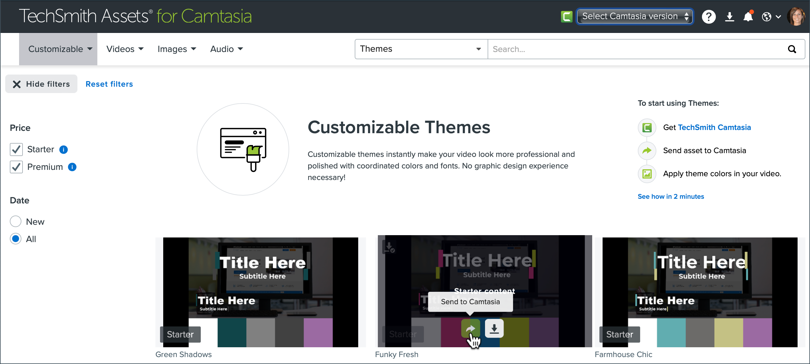 Download theme from Camtasia Assets website