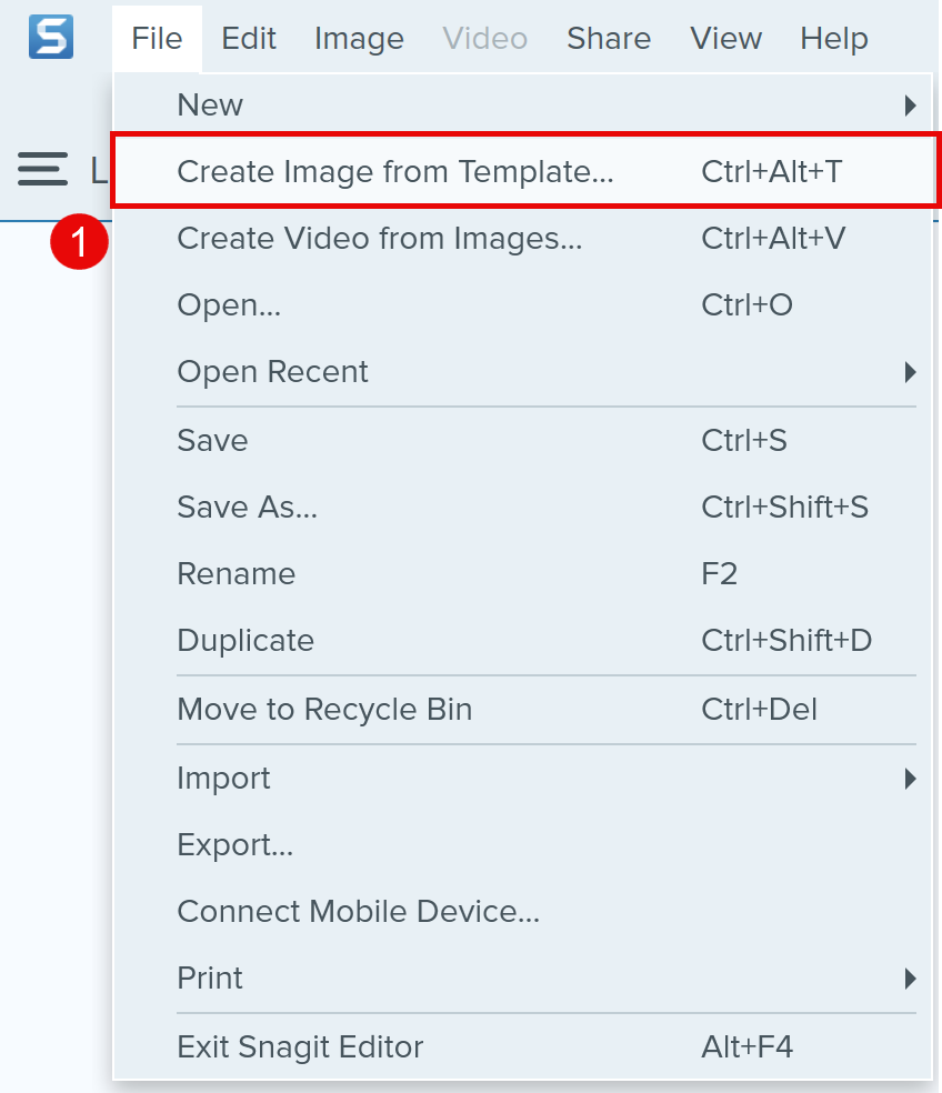 Create image from Template selection in Snagit