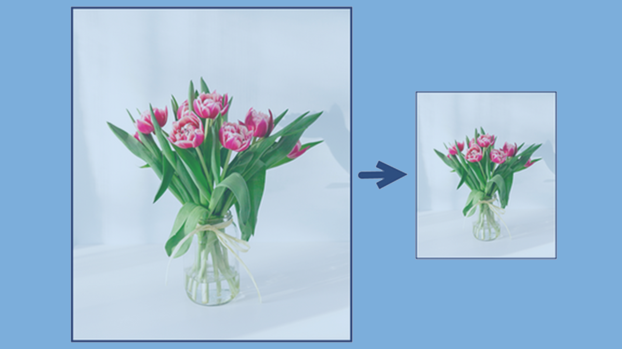 Resize, Rotate, or Flip an Image