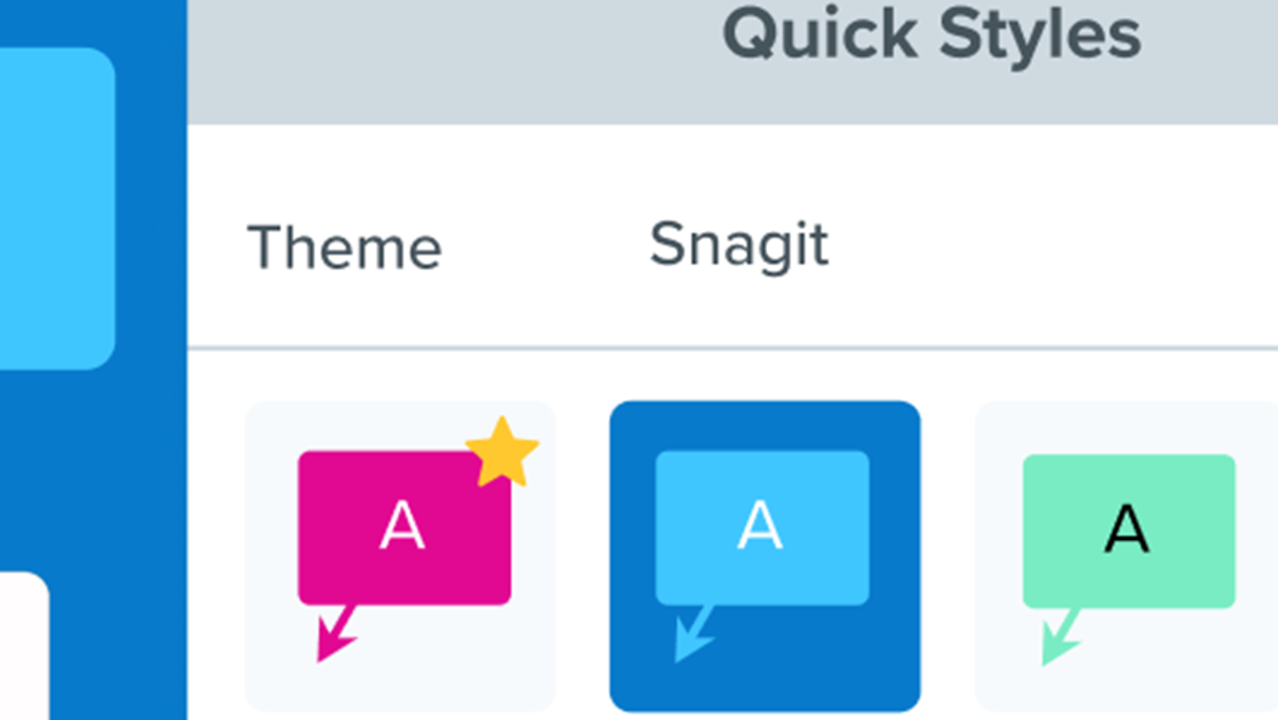 Snagit をカスタマイズする