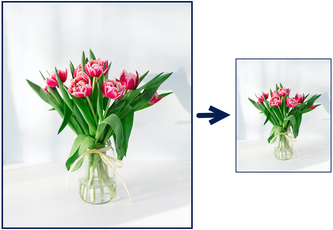 Resize, Rotate, or Flip an Image | Snagit Tutorial