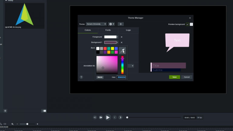 Camtasia editor with the theme manager open
