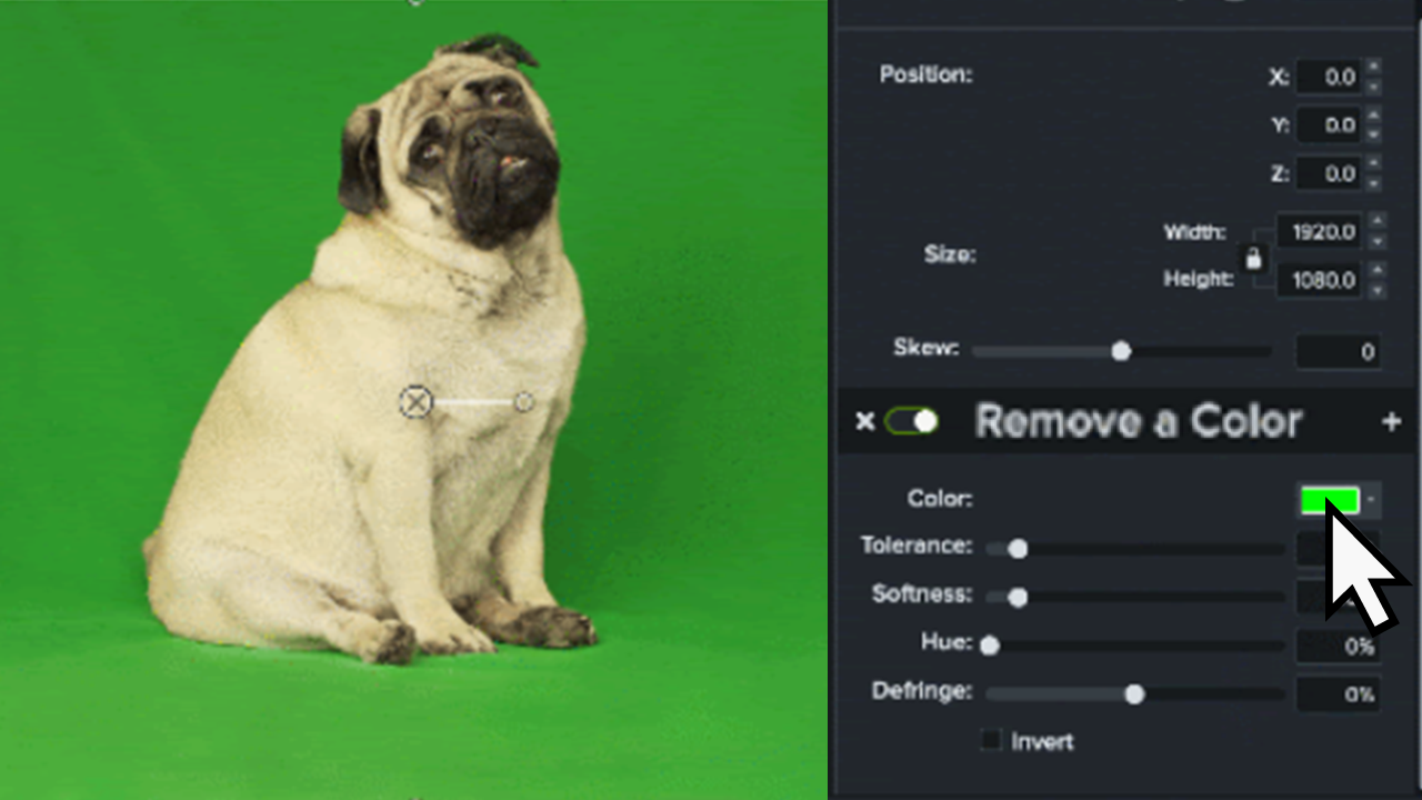 Remove A Color (Green Screen)