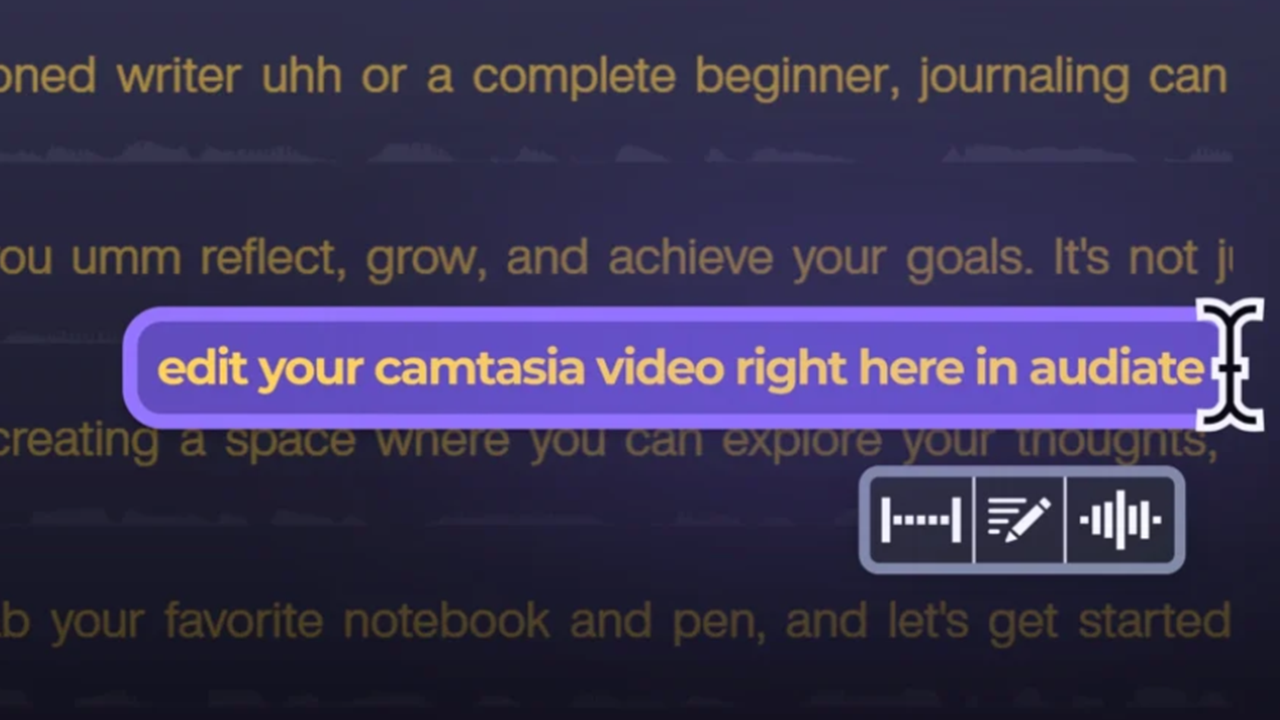 Edit the Transcript