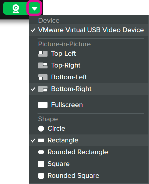 Webcam options menu