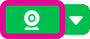 Webcam button