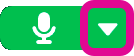 Microphone options button