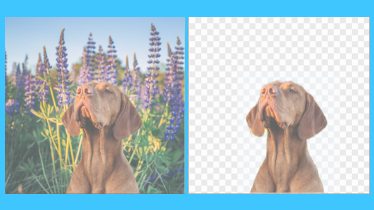 Remove a Background