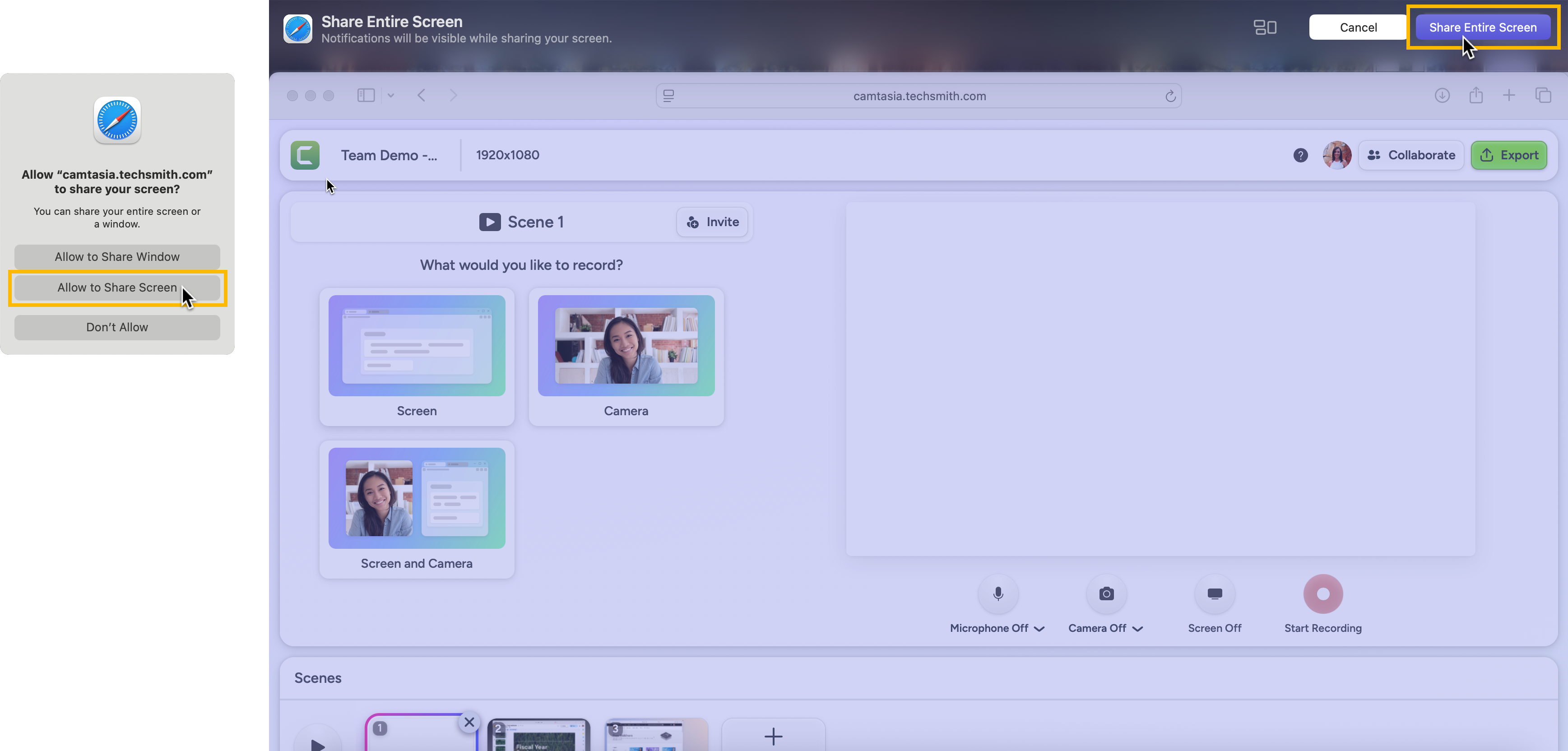 Safari Share Entire Screen options