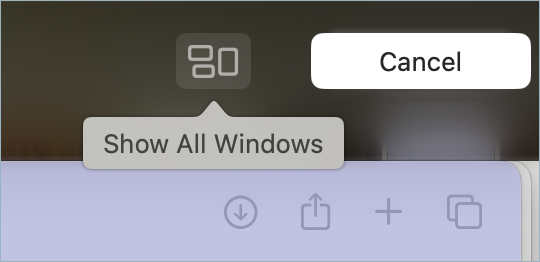 Show All Windows icon