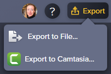 export options