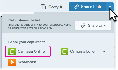 Camtasia Online in the Share menu
