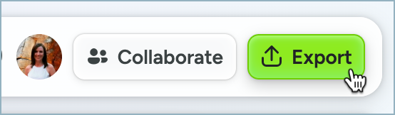 Export button