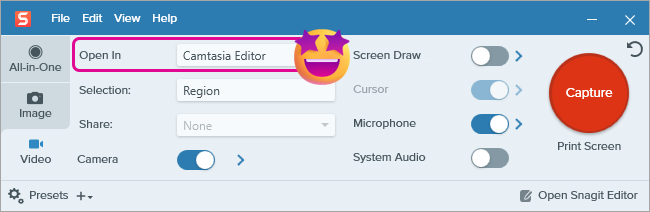 Video capture window with Open In Camtasia Online option