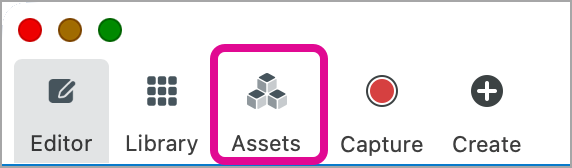 Assets tab on Snagit for Mac