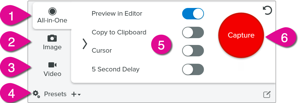 Capture Window with labels