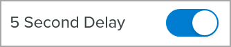 5 Second Delay option