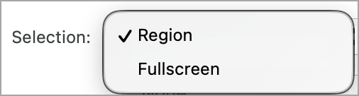 Selection options on Snagit for Mac