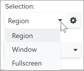 Selection options on Snagit for Windows