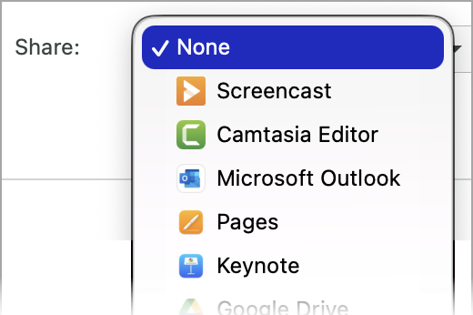 Share options on Snagit for Mac