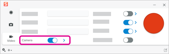 Camera toggle and options arrow in Snagit Capture window