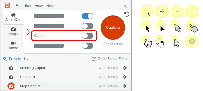 Capture Cursor disabled and Step Capture Cursors stamp pack