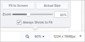Zoom options in Snagit Editor