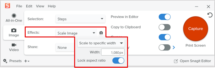 Scale Image effect and properties