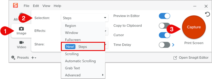 Screenshot of the Capture Window with numbered labels on the Image tab, Steps option in the Selection menu, and Capture button.