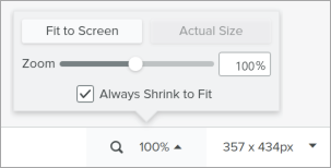 Magnify image options