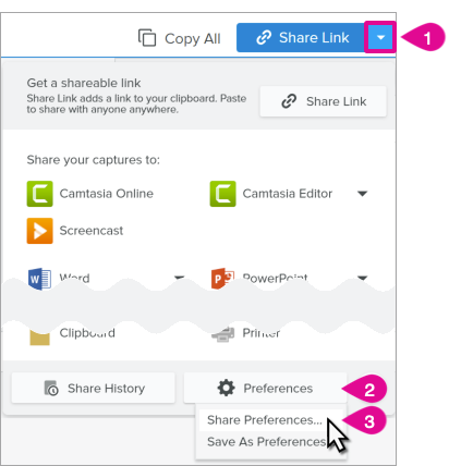 Share Preferences in the Share Link dropdown on Windows